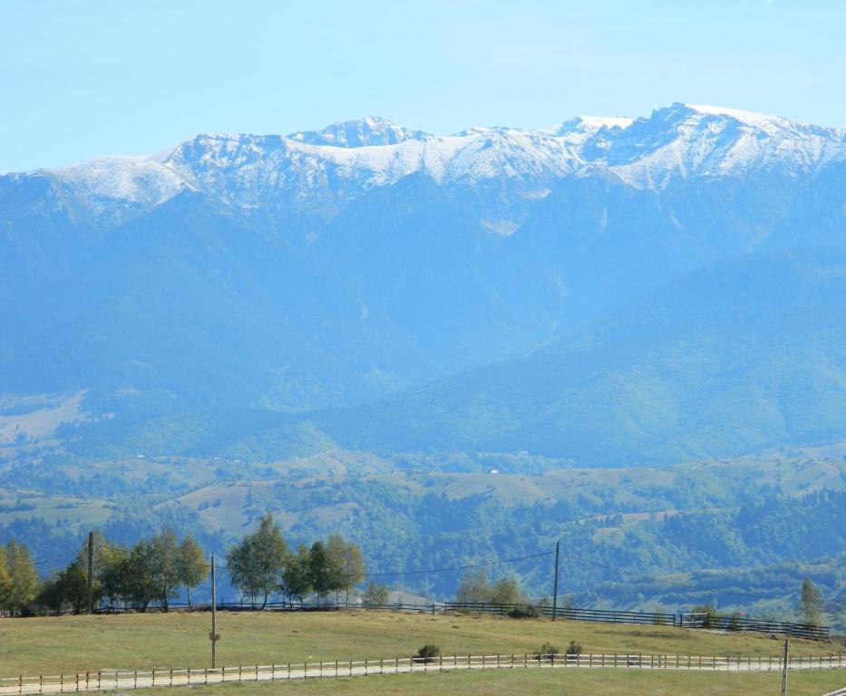 Nobillis - Carpathian Residence Pestera  Luaran gambar