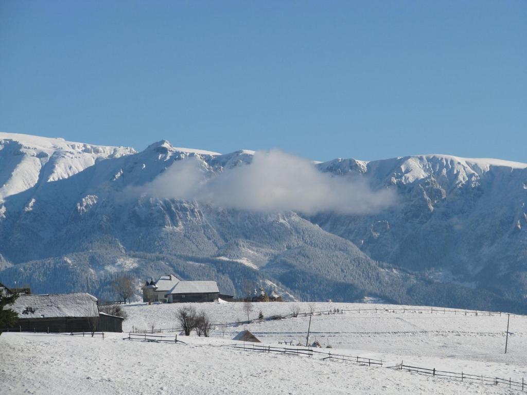 Nobillis - Carpathian Residence Pestera  Luaran gambar